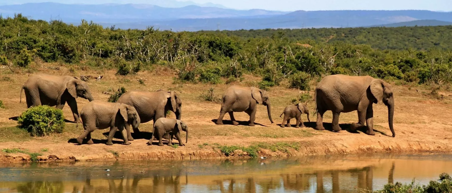 Assicurazione viaggio Africa